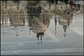 Reflection, St Mark's Square,Venice, Bill Yates