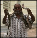 Bill Yates, Snake Charmer