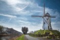 The Old Windmill At Damme, Rose Atkinson